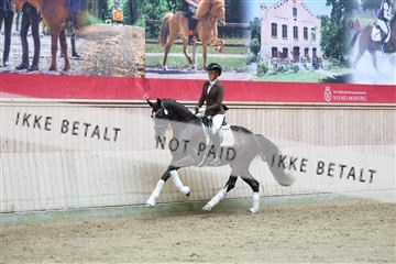 181887_mtp_04_R62_8716.JPG