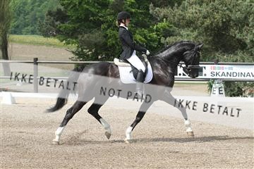135086_sg_01_IMG_0109.JPG