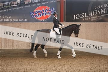 173782_mtp_01_3M5A6934.JPG