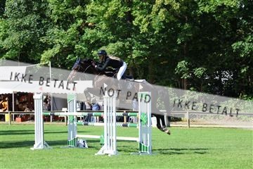 181805_mlm_02_R62_6485.JPG