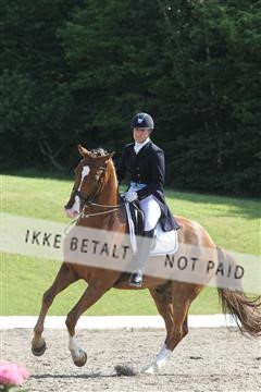 135676_sg_01_IMG_7737.JPG