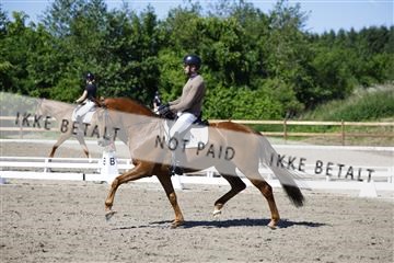 181449_kbb_01_6II9165.JPG