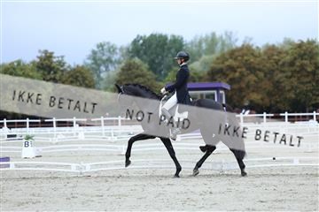 181923_mtp_01_R62_6519.JPG