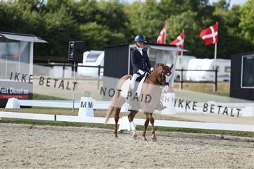 181894_mtp_05_R62_4964.JPG
