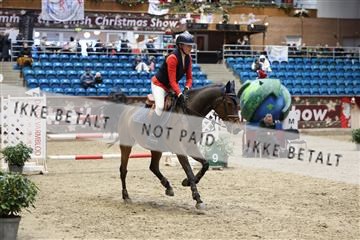175934_avh_02_8110.JPG