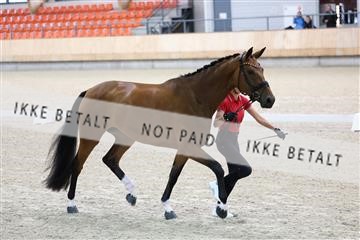 175139_bc_02_R62_4186.JPG