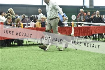 163793_bkn_01__BKN8715.JPG