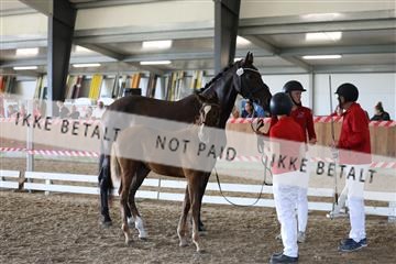 181756_mtp_03_R62_2766.JPG
