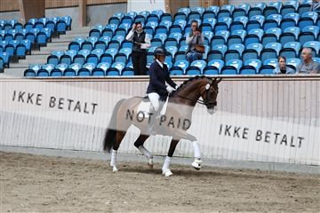 181887_mtp_01_R62_7076.JPG