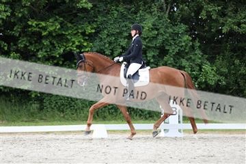 172073_mtp_01_3M5A3133.JPG