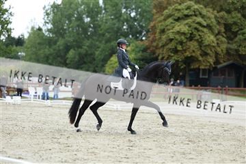 181923_mtp_01_R62_6965.JPG