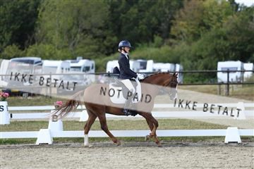 181894_mtp_05_R62_4984.JPG