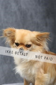 129608_le_ 01_0468.JPG