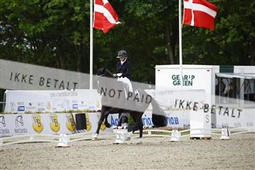 181449_kbb_02_6II0039.JPG