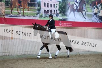181887_mtp_02_R62_7294.JPG