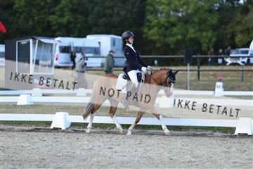 181894_mtp_05_R62_5365.JPG