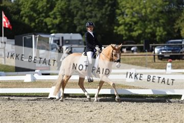 181894_mtp_05_R62_4814.JPG
