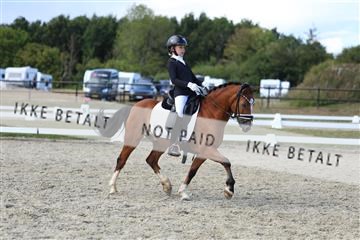 181894_mtp_05_R62_5308.JPG