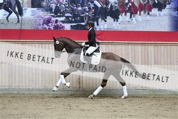 181887_mtp_04_R62_9016.JPG