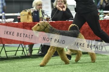 163793_bkn_01__BKN8962.JPG