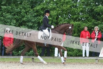 135518_ms_01_IMG_0834.JPG