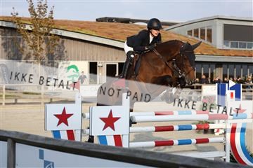 181922_avh_05_2460.JPG