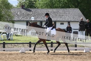 147698_nn_01_IMG_0040.JPG