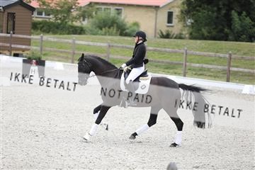 166281_mtp_01_3M5A0643.JPG