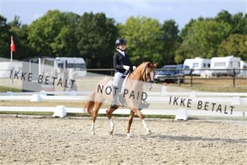 181894_mtp_05_R62_5020.JPG