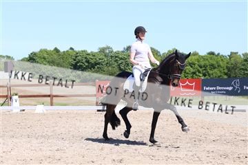 181449_bc_01R62_5735.JPG
