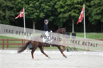 179491_mtp_02_3M5A2729.JPG