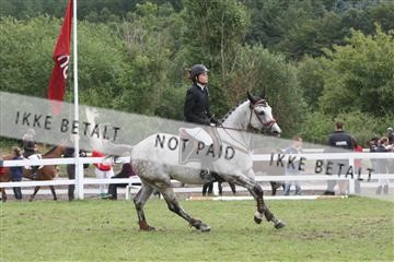 5925_ma_05_IMG_0731.JPG