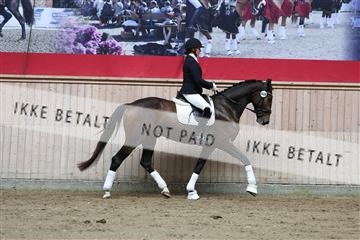 181887_mtp_02_R62_7569.JPG
