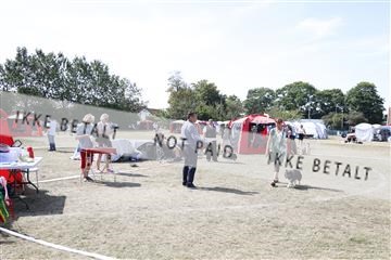 181848_kar_01__62_1793.JPG