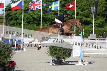 181436_avh_01_3077.JPG