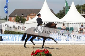 125527_BC_06_IMG_8984.JPG