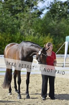136195_abo_01__AB16312.JPG