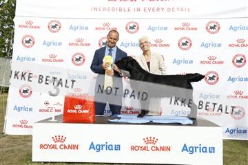 181848_kar_01__62_1243.JPG