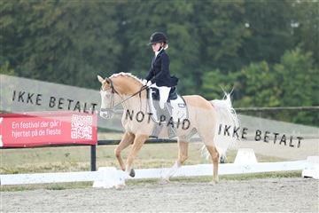181894_mtp_04_R62_4031.JPG