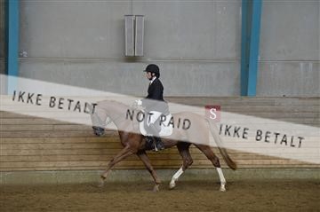 144288_abo_01__AB22704.JPG