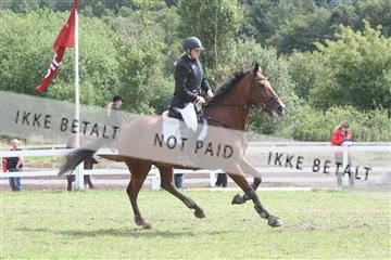 5925_ma_05_IMG_0946.JPG