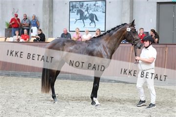 181852_mtp_05_R62_3240.JPG