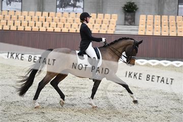 167300_abo_01_D05_2234.JPG