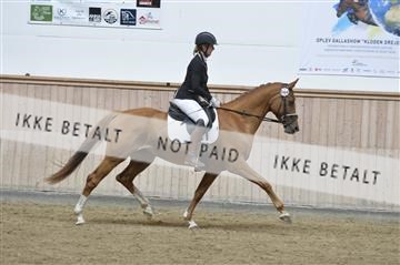 160111_nn_01__ESK1691.JPG