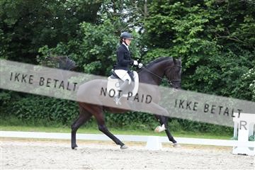 172073_mtp_01_3M5A2983.JPG