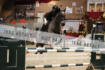 175934_avh_02_7060.JPG