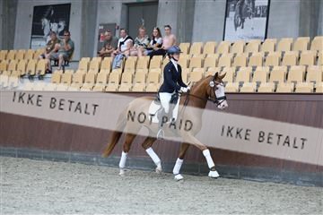 181852_mtp_04_R62_2795.JPG