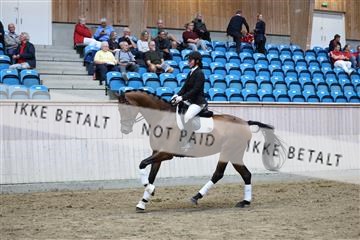181887_mtp_02_R62_7752.JPG