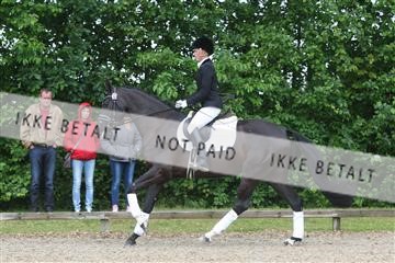 135518_ms_01_IMG_1316.JPG
