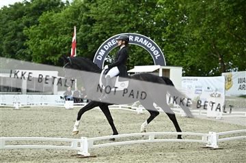 181449_kbb_03_Z091910.JPG